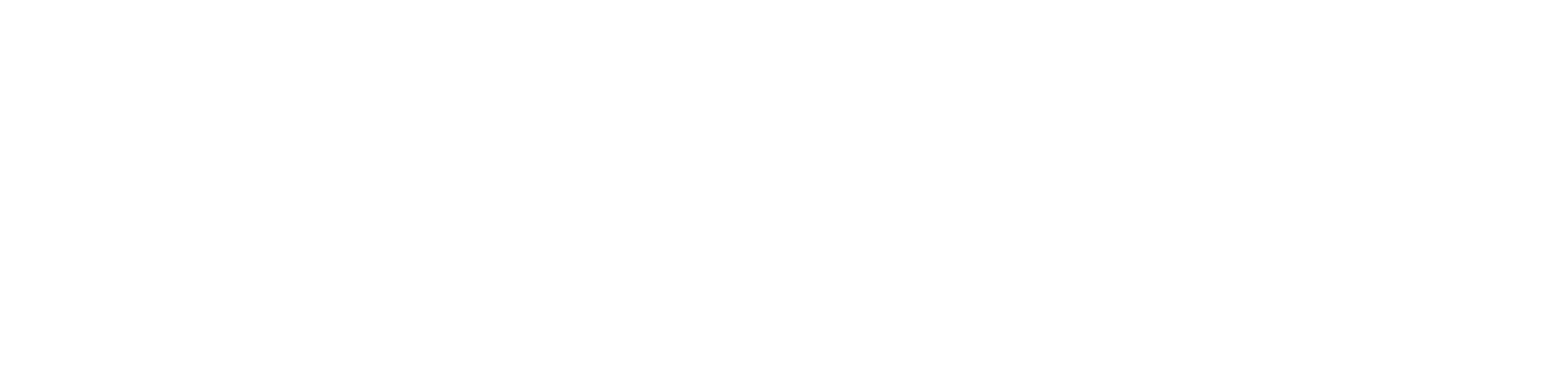 Merlin Gerin